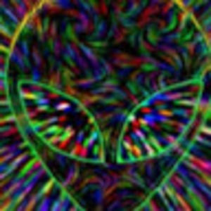 Meet your Posher, Shawn